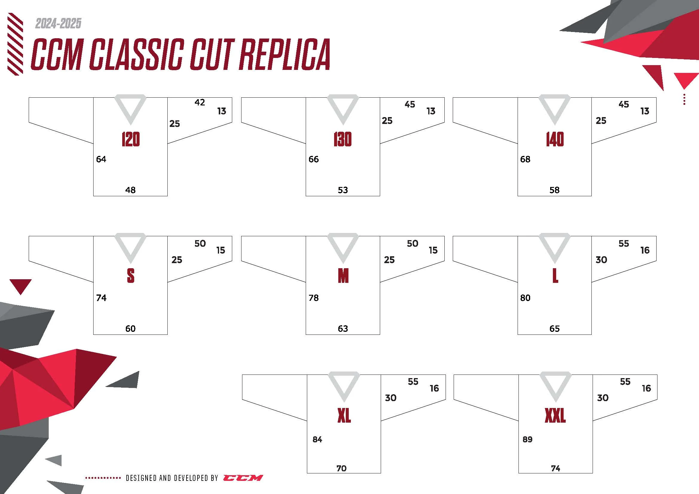 Leijonat CCM fanipaita, koti - Image 4